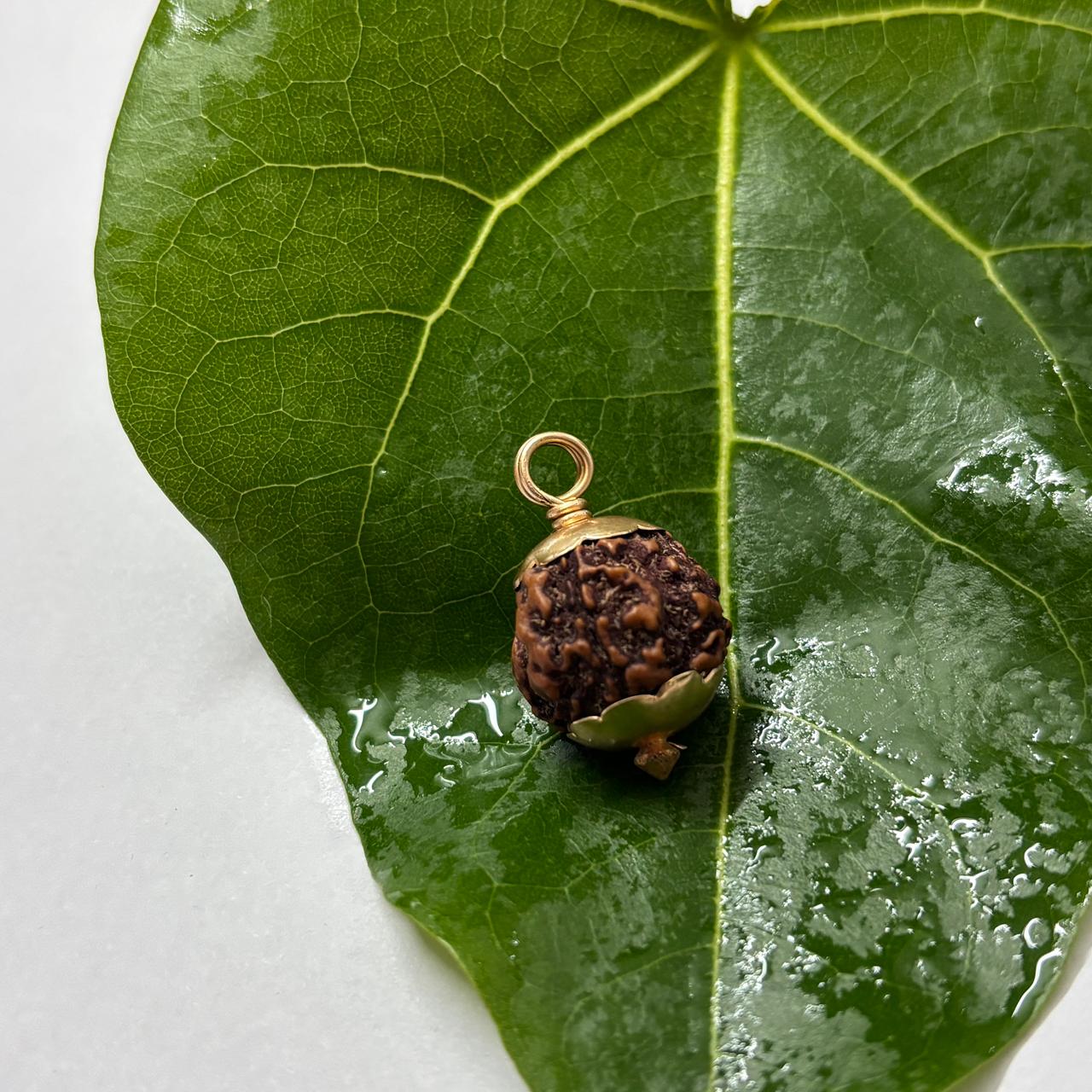 Original Nepali Rudraksham Pendant